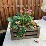 Wooden Storage Crates 3pcs (Free Delivery) Image 2
