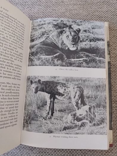Too Short a Day a Woman Vet in Africa by Susanne Hart 1966 first edition hardback with dustcover in good used condition FREE STANDARD POSTAGE INCLUDED