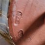 Mid century signed Slipware cider flagon Image 4