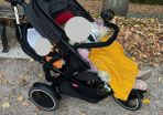 Phil&Teds double stroller