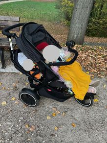 Phil&Teds double stroller