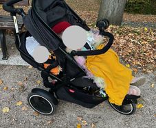 Phil&Teds double stroller