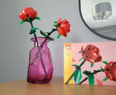 legoLEGO Botanicals Flower Sets