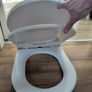 family toilet seat Image 2