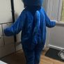 Dolphin costume Image 3