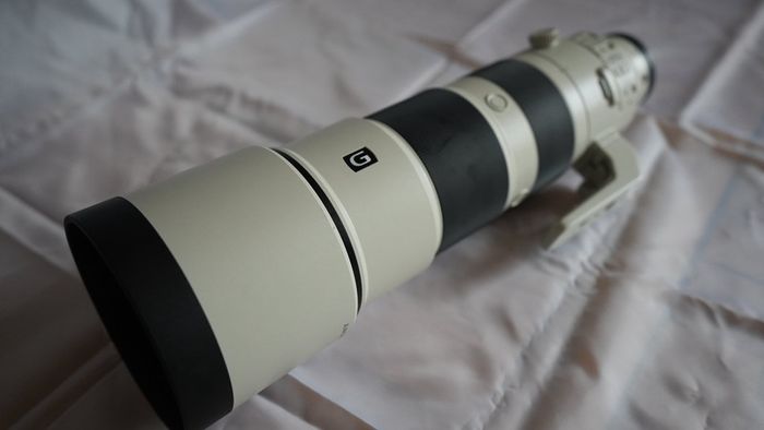 Sony FE 200-600mm f/5.6-6.3 G OSS Lens