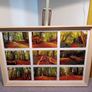 Rostellan Woods Image 5