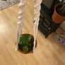 plant hange Image 4