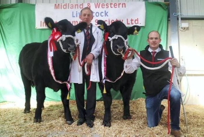 Carrick-on-Shannon Autumn Mixed Breed Show & Sale