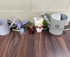 Garden & Botanical Decor Bundle, Metal Watering Cans, Glass Mister & Strawberry Pitcher (5 Pieces)