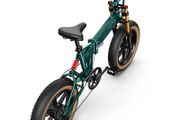 Fiido M1 Pro Electric Bike