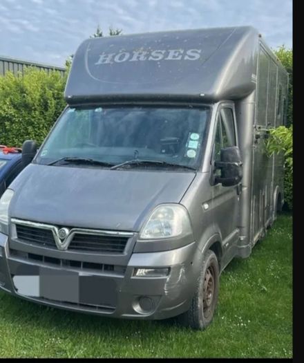 3.5t vauxall movano Horse lorry