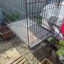 dog crate Image 5