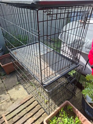 dog crate
