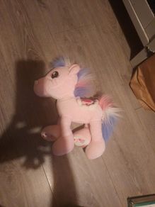 soft pony