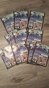 Vintage Leicester v Man Utd 1976 Match programme x10