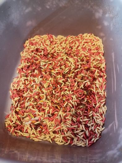 Fishing bait rods lines reels waders lures feeds jackets rod holders and other fishing gear