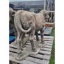 Standing Cow Statue GL LA017 Image 3