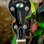 Tanglewood TWB USA 5 Cove Creek Banjo Image 3