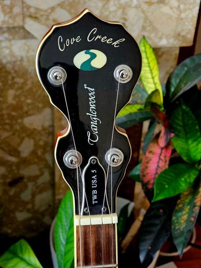 Tanglewood TWB USA 5 Cove Creek Banjo