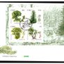 2006 Ireland Fauna & Flora Native Trees Commemorative Stamps Miniature Sheet An Post First Day Cover (FDC) Image 3
