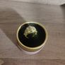 ring Image 2