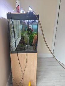 fish tank