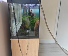 fish tank