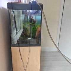 fish tank