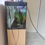fish tank with accessories Image 3