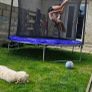 Trampoline Image 3