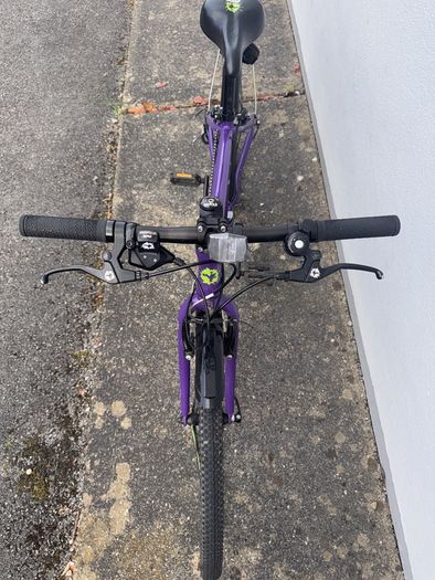 Frog 69 Kids Bike