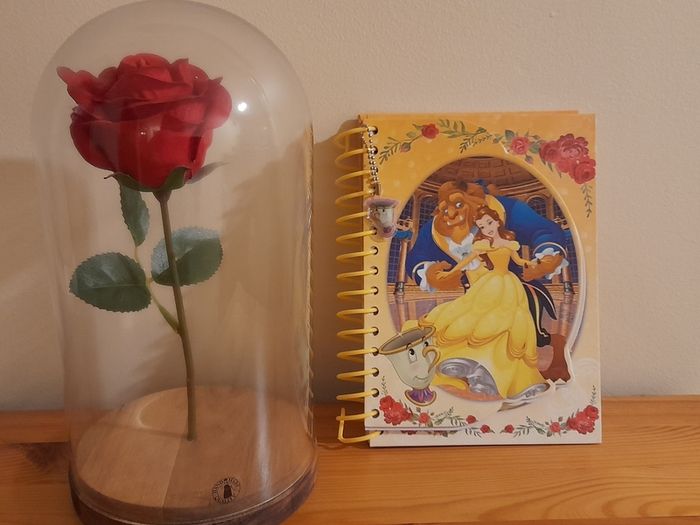 Beauty & the Beast Rose Dome and Belle Notebook
