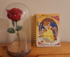 Beauty & the Beast Rose Dome and Belle Notebook