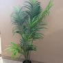 Artificial plant Image 5