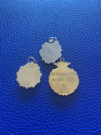 Silver Medal