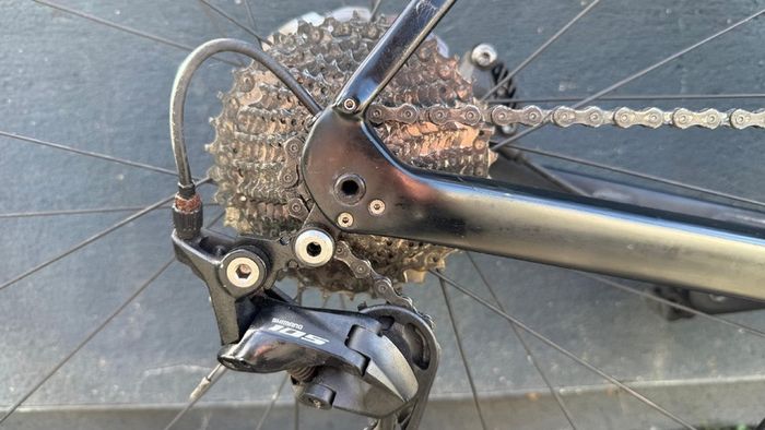 Trek Domane SL 5 Gen 3 2022