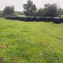 Bales of silage Image 3