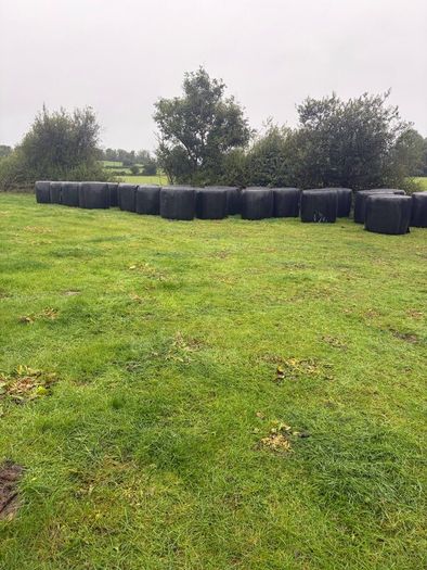 Bales of silage