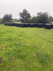 Bales of silage