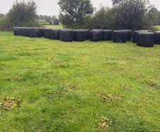 Bales of silage