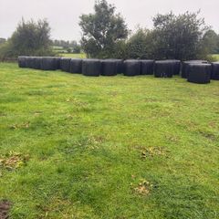 Bales of silage