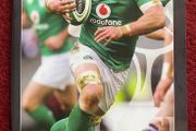 2017 Ireland v South Africa - Guinness Series Programme