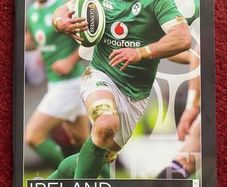2017 Ireland v South Africa - Guinness Series Programme