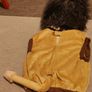 Lion costume Image 3