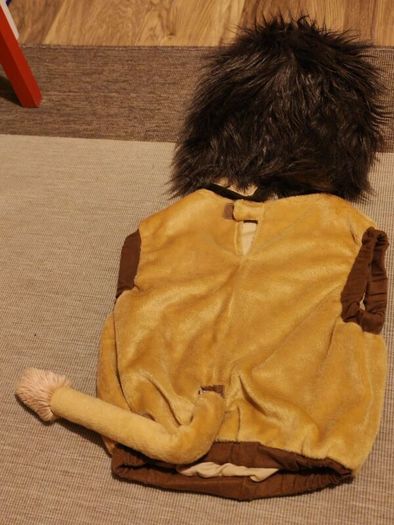 Lion costume