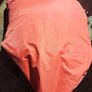 bean bags x 2 Image 4