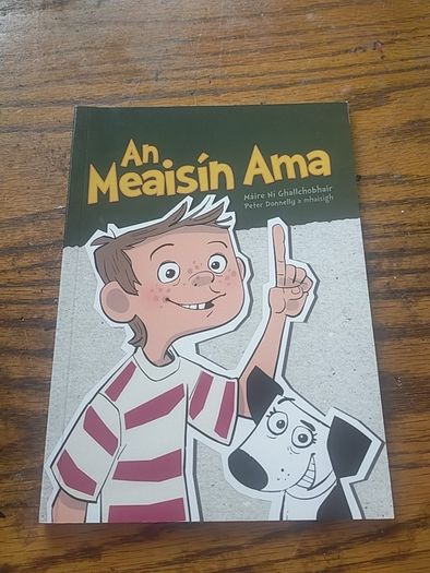Kids Irish books individually priced