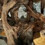 Teak Rootwood Plant Stand Image 2