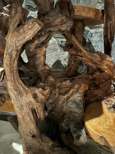 Teak Rootwood Plant Stand
